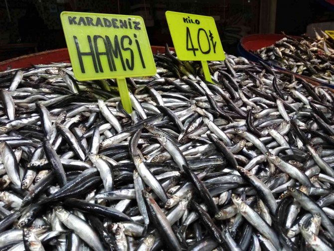 Balık Tezgahları Buz Kesti