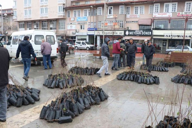 Manisa Büyükşehir Belediyesinden Üreticiye Fidan Desteği