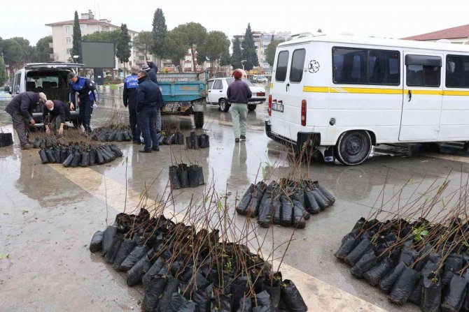 Manisa Büyükşehir Belediyesinden Üreticiye Fidan Desteği