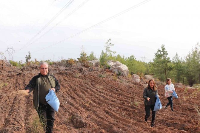 Enerji Nakil Hatları Yakınlarına Yangına Dayanıklı Tür Ekiliyor