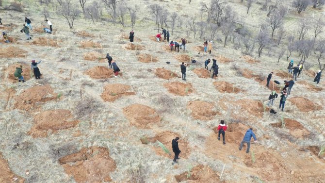 Üniversite Öğrencileri Fidan Dikti