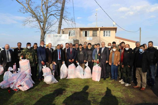 Samsun’da İ̇srail Sazanı İle Mücadele Başladı