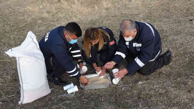 Erciş’te Sokak Ve Yaban Hayvanları İçin Yem Bırakıldı