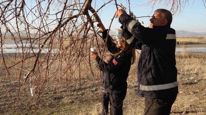 Erciş’te Sokak Ve Yaban Hayvanları İçin Yem Bırakıldı