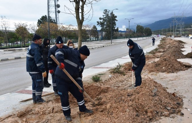 Yunusemre’de Ağaçlandırma Seferberliği Devam Ediyor