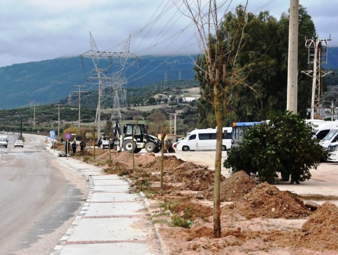 Yunusemre’de Ağaçlandırma Seferberliği Devam Ediyor