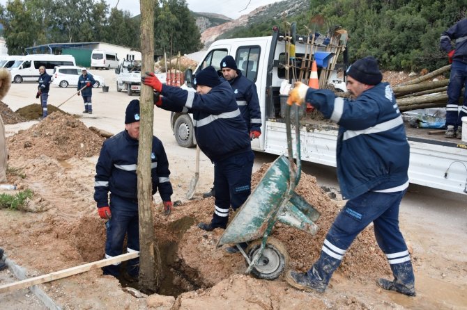 Yunusemre’de Ağaçlandırma Seferberliği Devam Ediyor