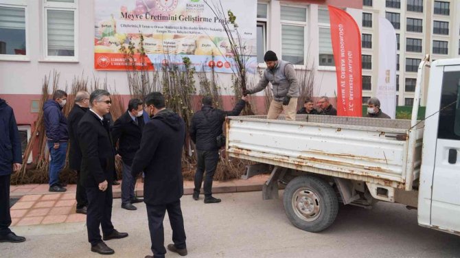 Büyükşehir Belediyeden Üreticilere Meyve Fidanı Desteği