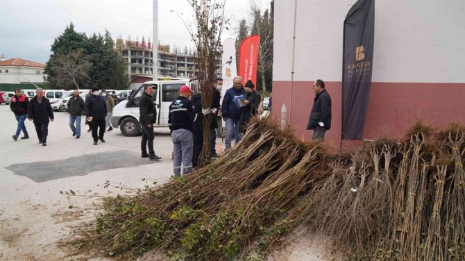 Büyükşehir Belediyeden Üreticilere Meyve Fidanı Desteği