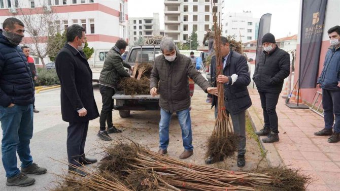 Büyükşehir Belediyeden Üreticilere Meyve Fidanı Desteği