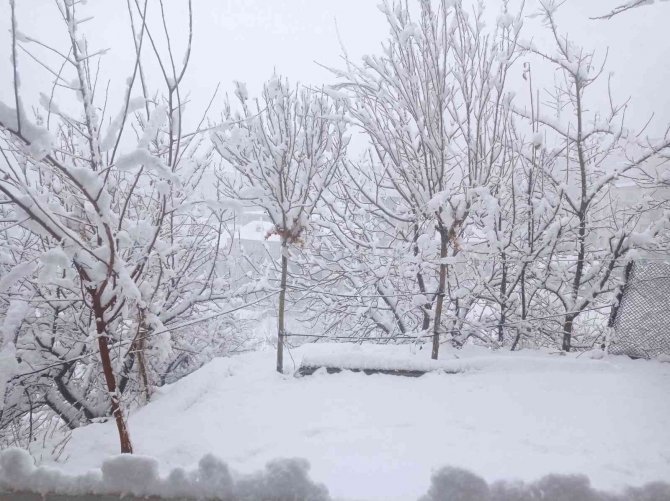 Hakkari’de Okullar Yarım Gün Tatil Edildi