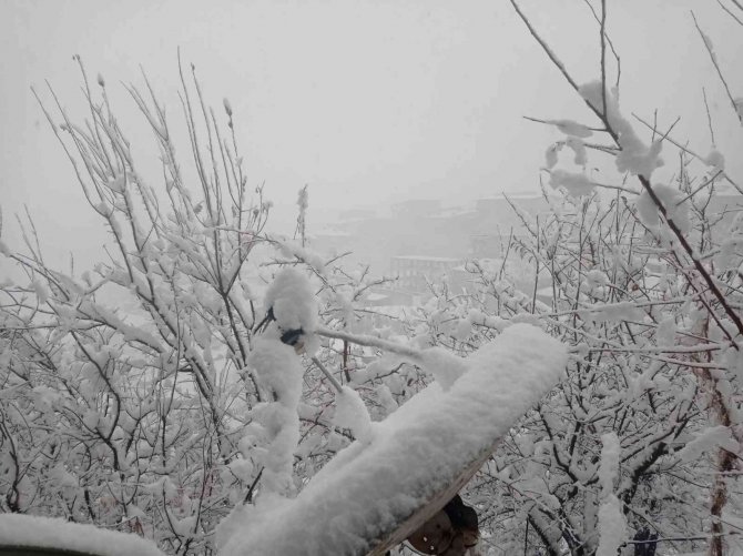 Hakkari’de 179 Yerleşim Yerinin Yolu Ulaşıma Kapandı