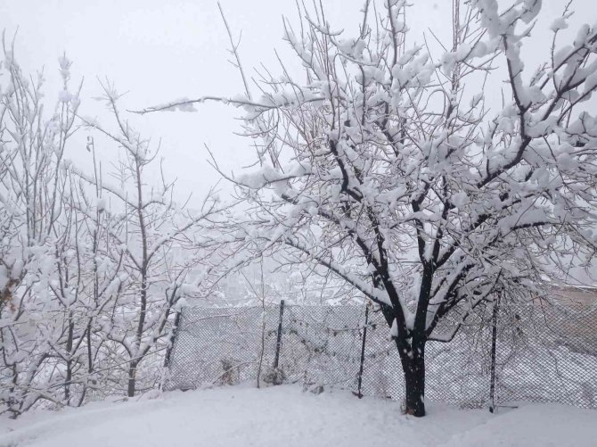 Hakkari’de 179 Yerleşim Yerinin Yolu Ulaşıma Kapandı