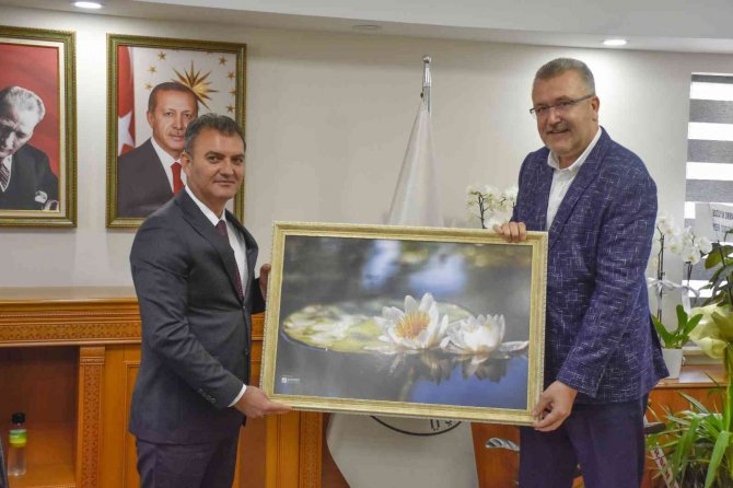 Karacabey’in Orman Ürünleri Potansiyeli Konuşuldu