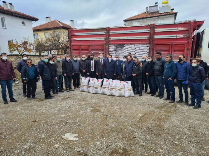 Yüzde 50 Hibeli Hububat Tohumu Dağıtıldı
