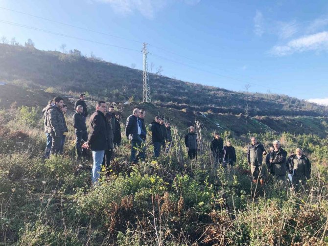 Bursa’da Defne Üretimine Yakın Markaj