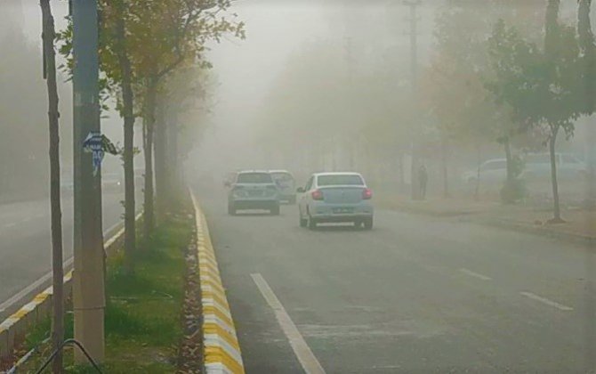 Şanlıurfa’da Yoğun Sis