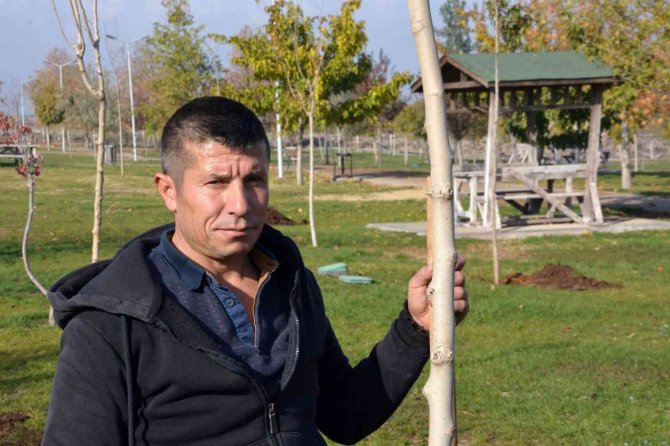 Ağaç Kesen Şahsa Ağaç Dikme Cezası