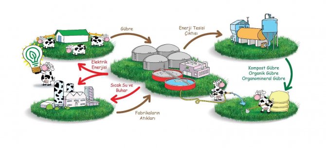 Sütaş, Sürdürülebilirlik Raporu’nu Yayımladı