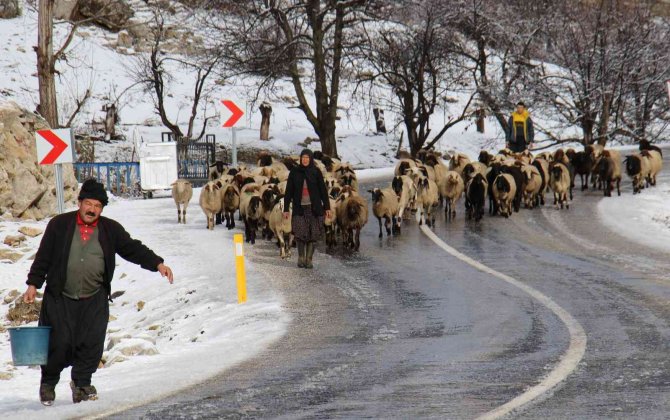 Mersin’de Yayla Ve Ormanlar Beyaz Gelinliğini Giydi