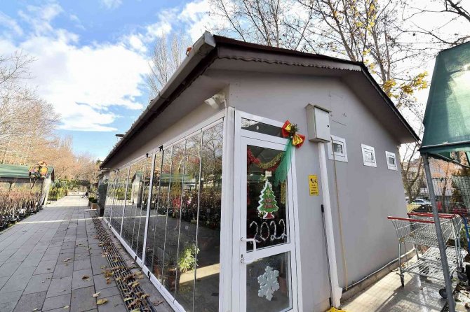 Rengarenk Yılbaşı Çiçekleri Başkentlileri Bekliyor