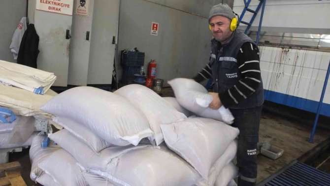 Çevre Dostu Yakıt Zeytin Çekirdeği Yok Satıyor