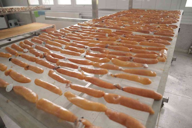 Dalyan Kefali Kilosu 20 Liradan Satılıyor