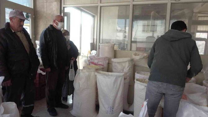 Kuraklık Buğday Rekoltesini Düşürünce Un Fiyatları Arttı