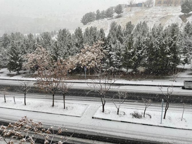 Tahran’a Mevsimin İlk Karı Yağdı