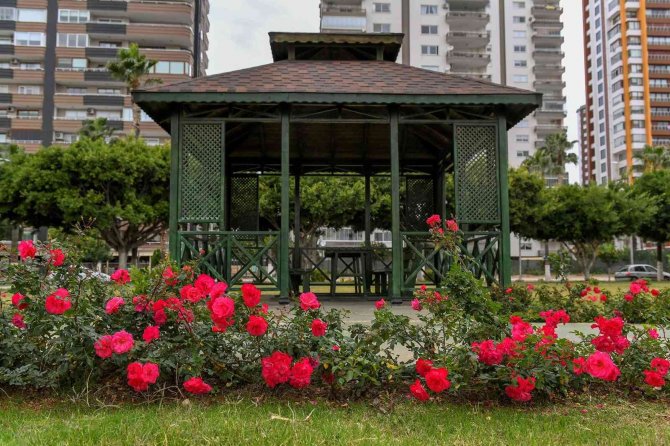 Mersin’in 4 Bini Yanı Çiçeklerle Renkleniyor