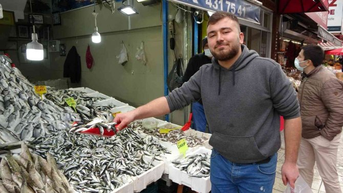 Tezgahların En Ucuzu İstavrite Yoğun İlgi