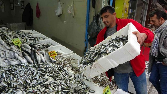 Tezgahların En Ucuzu İstavrite Yoğun İlgi