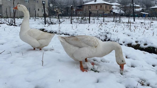 Bartın’da Yüksek Kesimlerde Kar Yağışı