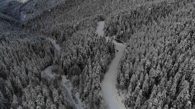Yedigöller Milli Parkı Yolu Ulaşıma Kapatıldı