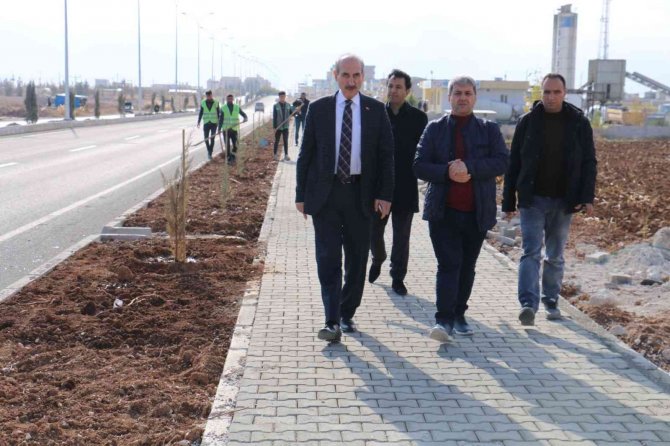 Akçakale’de Yeşil Atağı Sürüyor