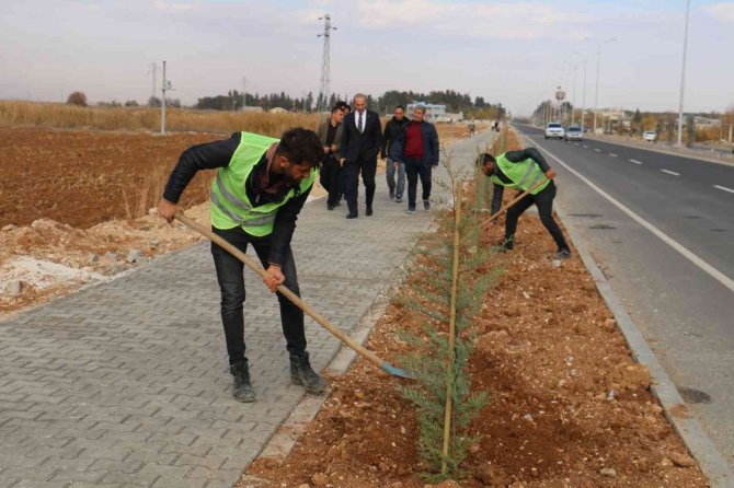 Akçakale’de Yeşil Atağı Sürüyor