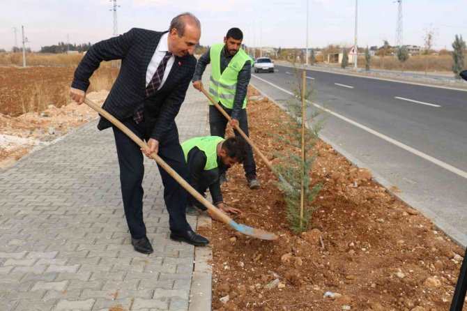 Akçakale’de Yeşil Atağı Sürüyor