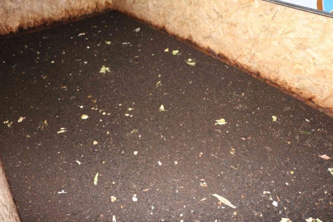 Atıl Durumdaki Prefabrik, Çiftçiler İçin Üretim Merkezine Çevrildi