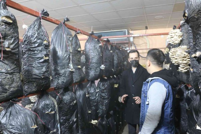 Atıl Durumdaki Prefabrik, Çiftçiler İçin Üretim Merkezine Çevrildi