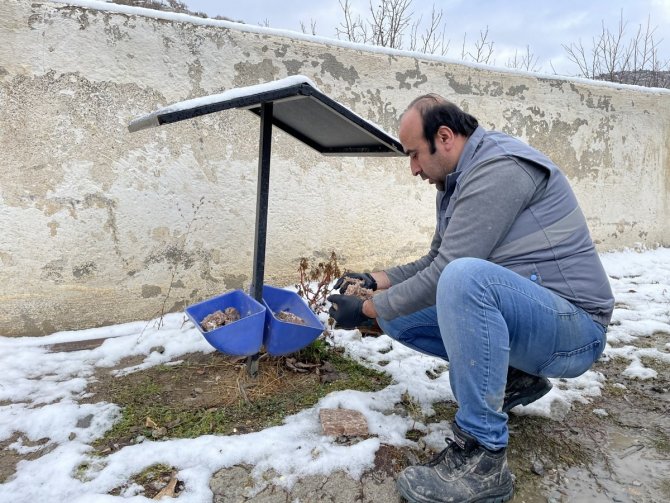 Belediye Ekipleri Sokak Hayvanlarını Besledi