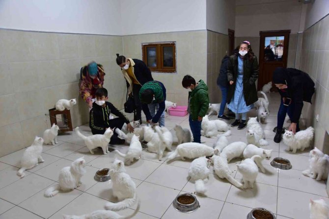 Ahlatlı Öğrenciler Van’ı Gezdi