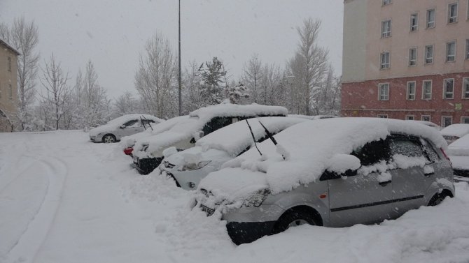 Bitlis’te 76 Köy Yolu Ulaşıma Kapandı, Okullar Tatil Edildi