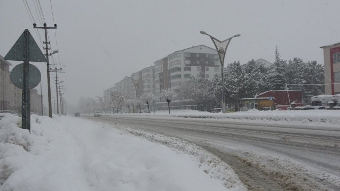 Bitlis’te 76 Köy Yolu Ulaşıma Kapandı, Okullar Tatil Edildi