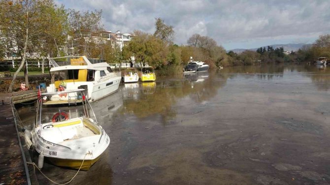 Manavgat Yangını, Küllerini 5 Ay Sonra Sel Sularıyla Irmağa Döktü