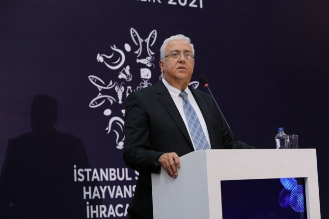 Hastavuk’a 3 Ödül Birden