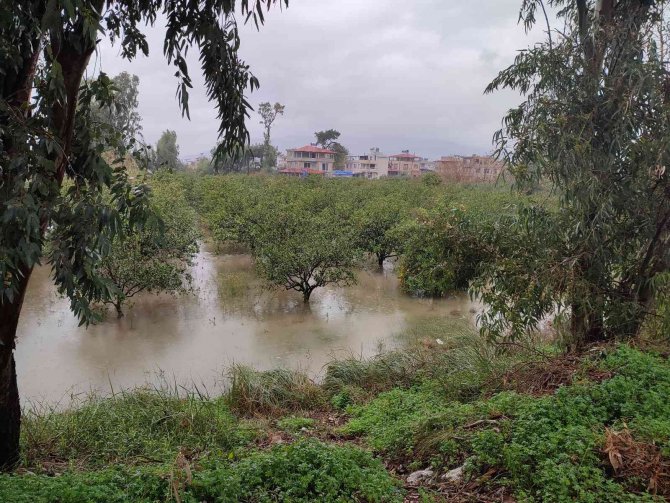 Asi Nehri Taştı, Bahçeleri Bastı