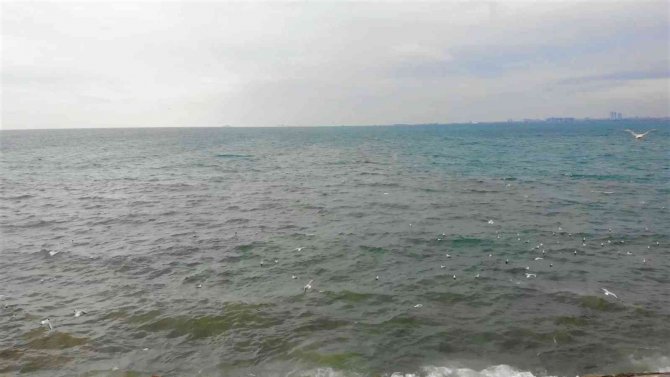Kadıköy’de İ̇ski̇’nin Arıtma Tesisinden Bırakılan Su Denizin Rengini Değiştirdi