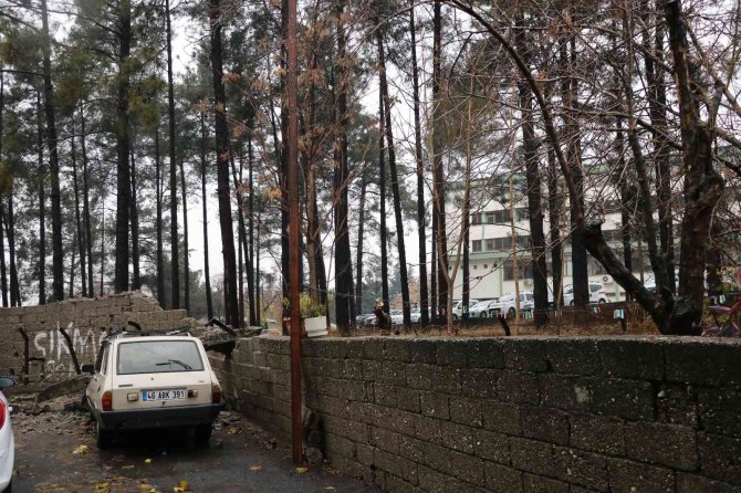 Orman Bölge Müdürlüğü’nün İstinat Duvarı Devrildi