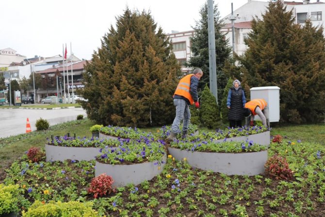Safranbolu’da Kışlık Çiçeklerin Dikimine Başlandı