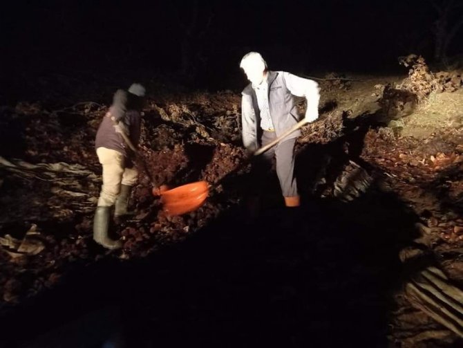 Kestane Fiyatları Yüzde Yüz Zamlanınca Kestaneciler Gece Mesaisine Başladı